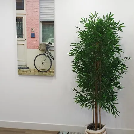 Lolena Calas De * Torrevieja