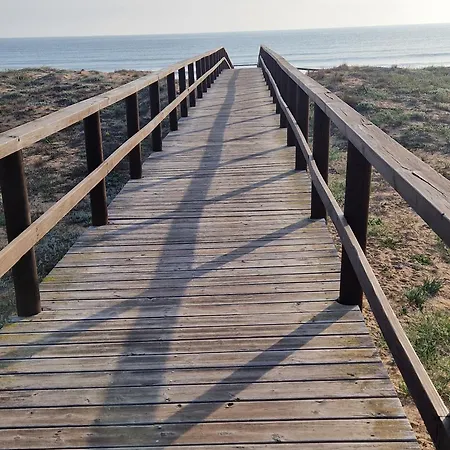 Lolena Calas De Torrevieja