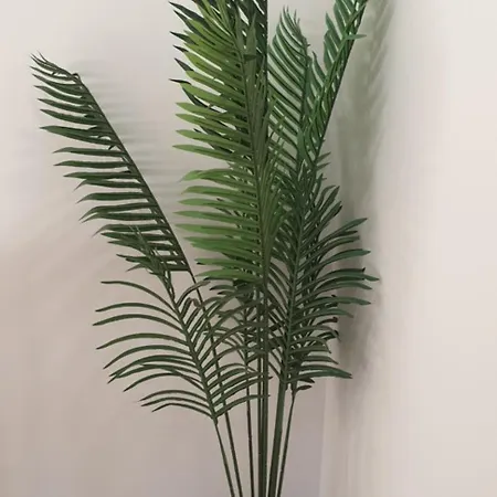 Casa vacanze Lolena Calas De