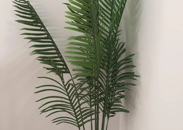 Hébergement de vacances Lolena Calas De