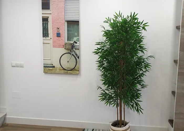 Lolena Calas De * Torrevieja