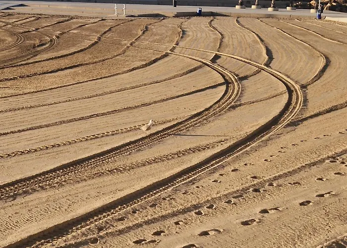 Hébergement de vacances Lolena Calas De